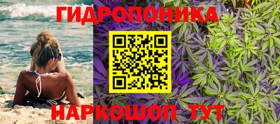 Альфа ПВП Бийск