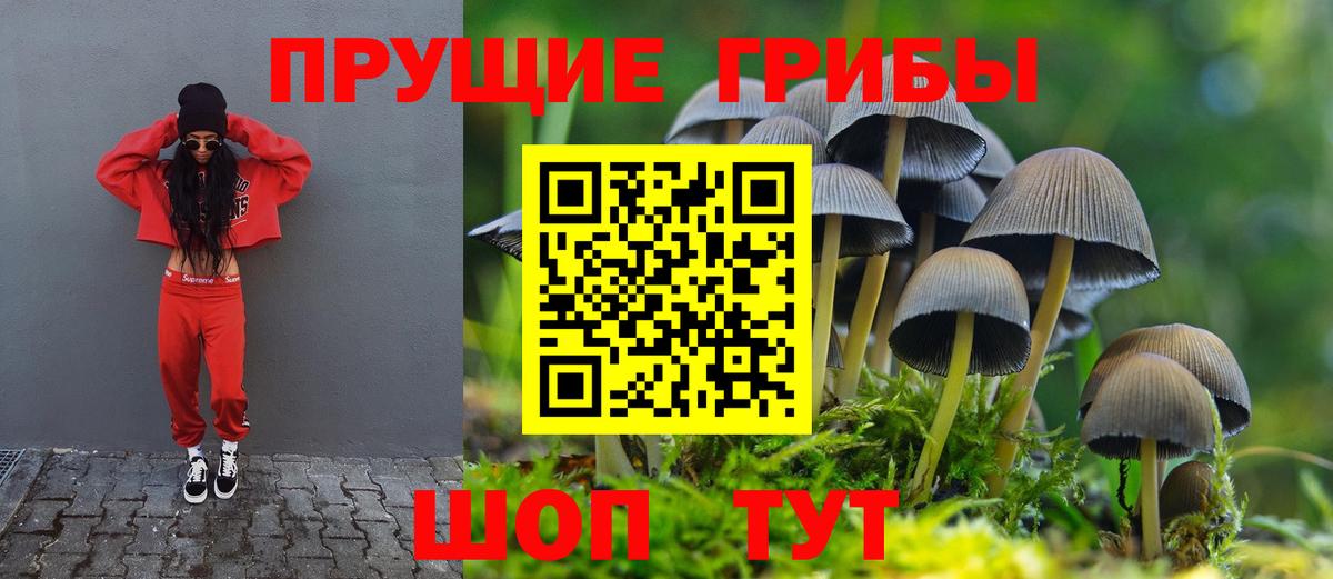 Псилоцибиновые грибы GOLDEN TEACHER Балашиха