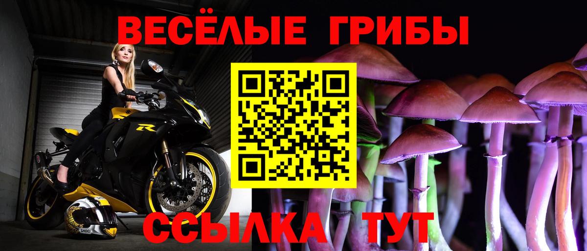 Балашиха  Галлюциногенные грибы Psilocybe  Вход с VPN 