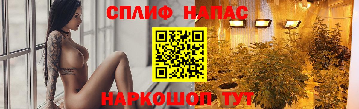 Балашиха  Шишки марихуана сатива  Вход с VPN  Канабис White Widow 